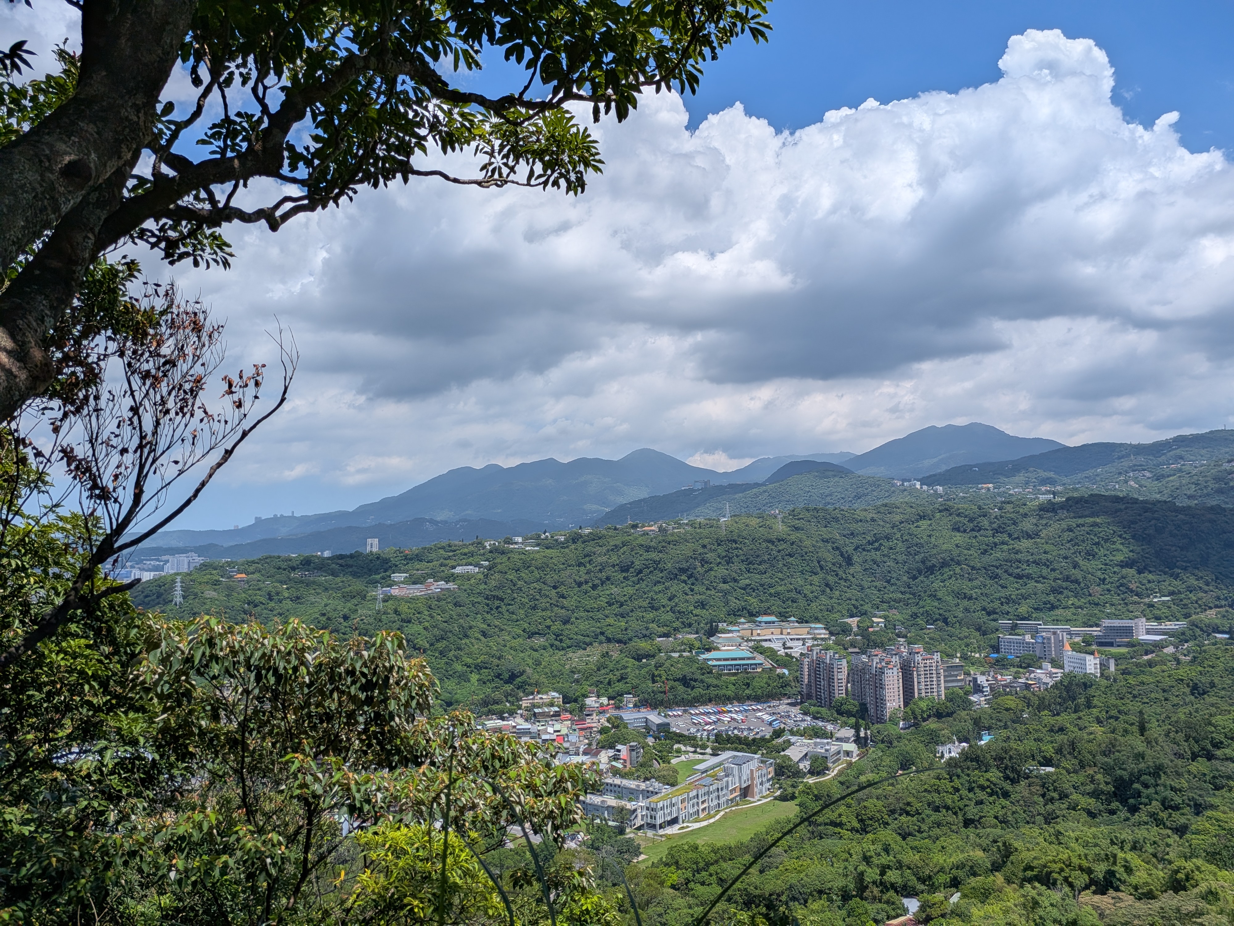 PXL_20260815_030000773