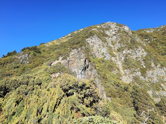 強者海放中