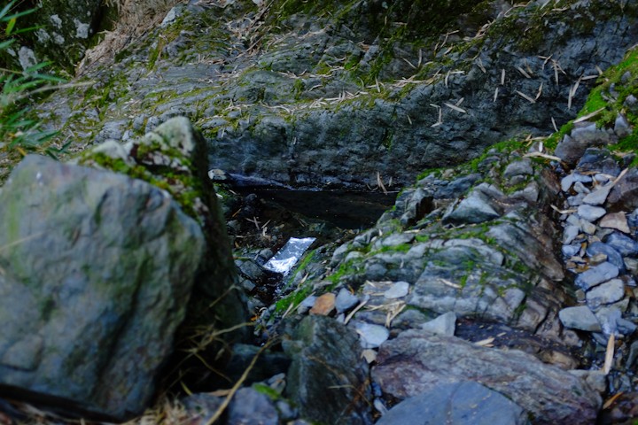 水源