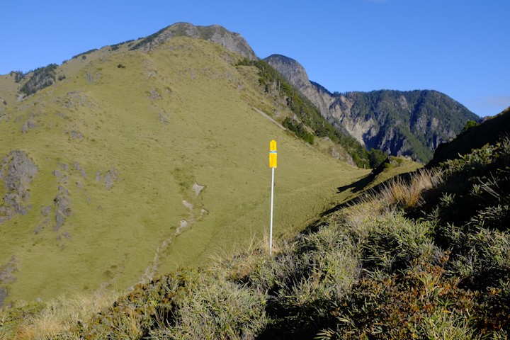 新的路標