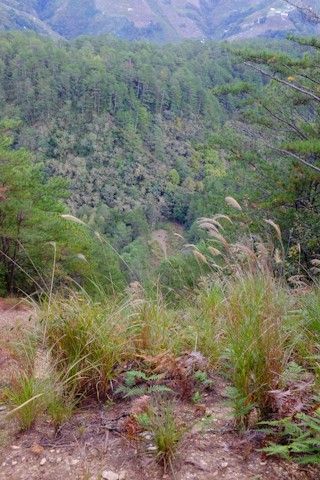 快到天梯登山口了