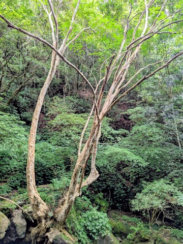 PXL_20250823_052858499~2